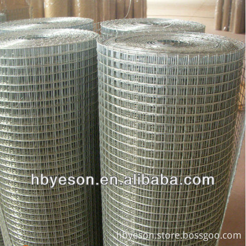 bird cage wire mesh(cheap)